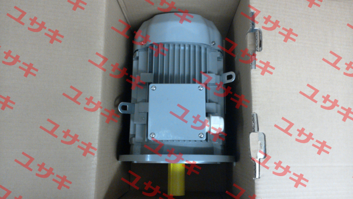 FCPA 132S-6 /PHE AC Motoren