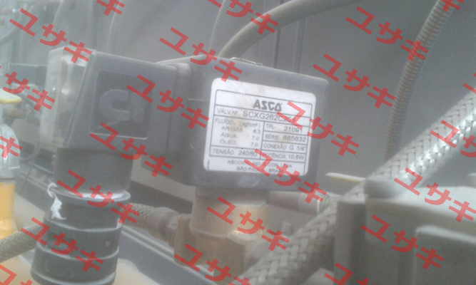 SCXG262C208 Asco