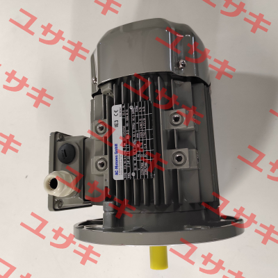 FCA 80B-4/PHE AC Motoren