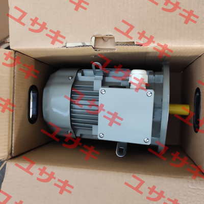 FCA 112 M-4 / PHE B5 400/690 AC Motoren