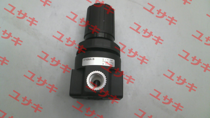 17109A.B Pneumax