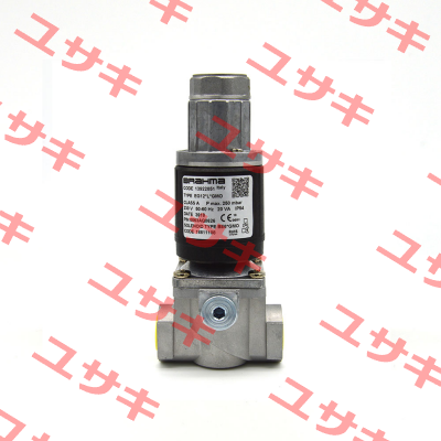 13922051 EG12*L *GMO Brahma