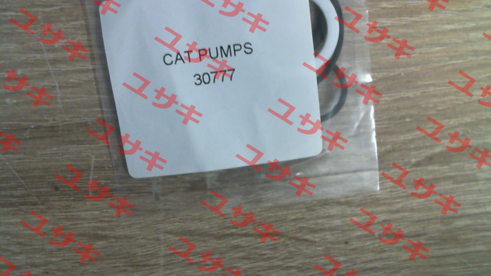 30777 Cat Pumps