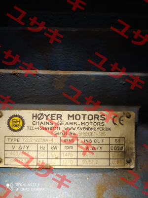 Y2E2-225MA-4 Hoyer Motors