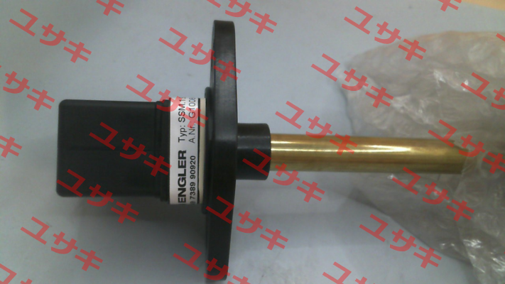 SSM.1.B4.280.5.S1 Engler