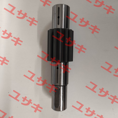 4255 Weidmann